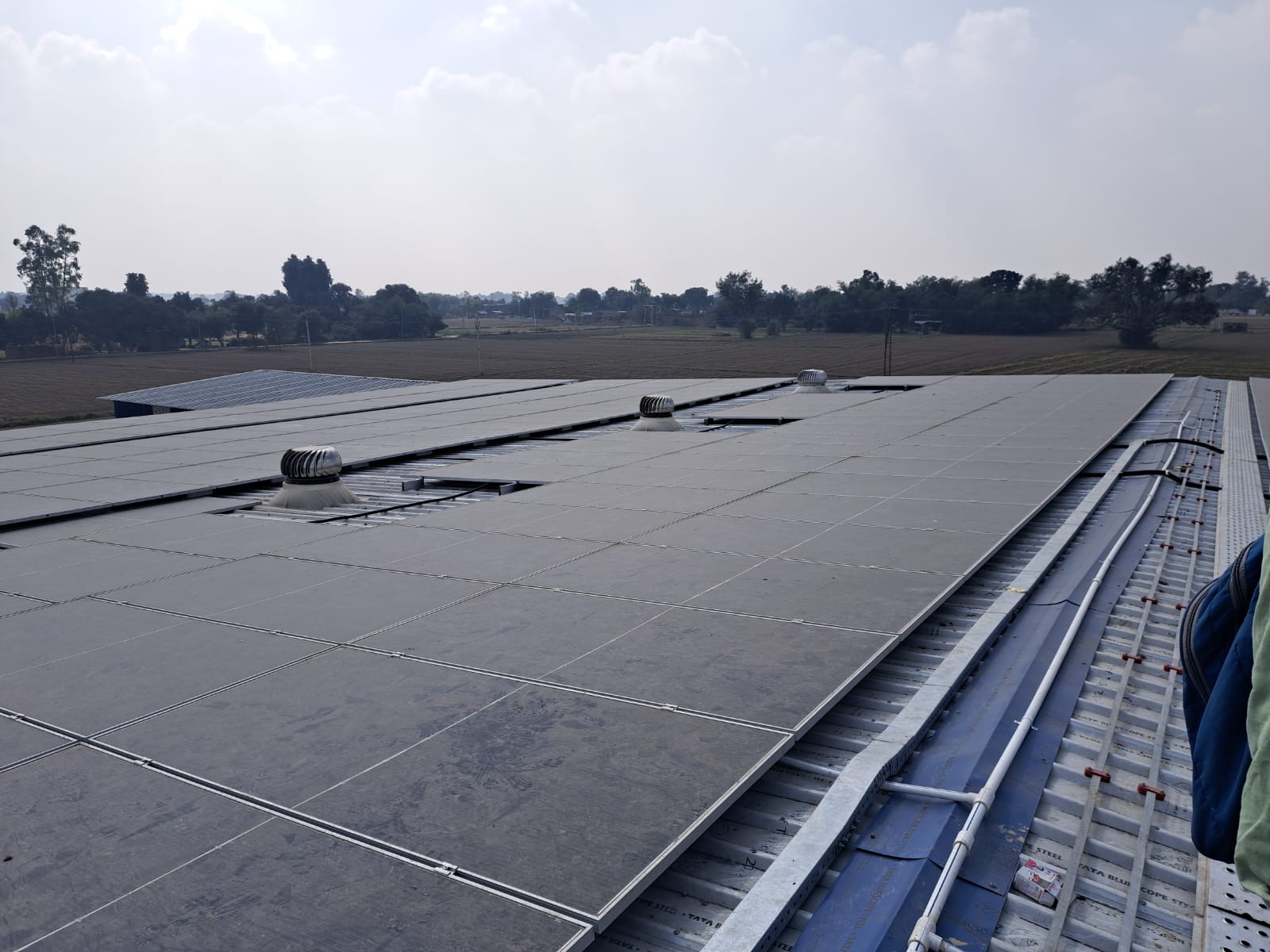 Loom Solar Logo